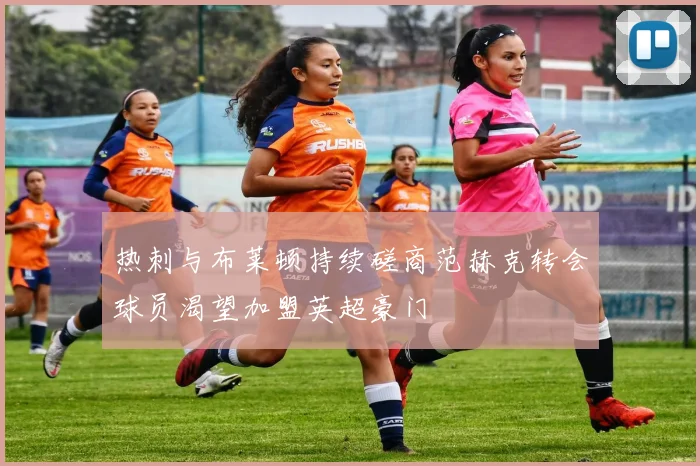 热刺与布莱顿持续磋商范赫克转会球员渴望加盟英超豪门