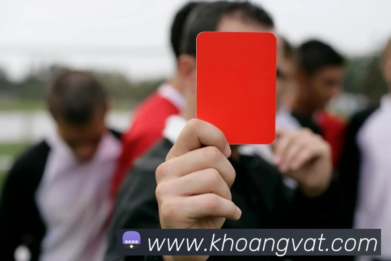 aoa网页版登录入口平台生态图